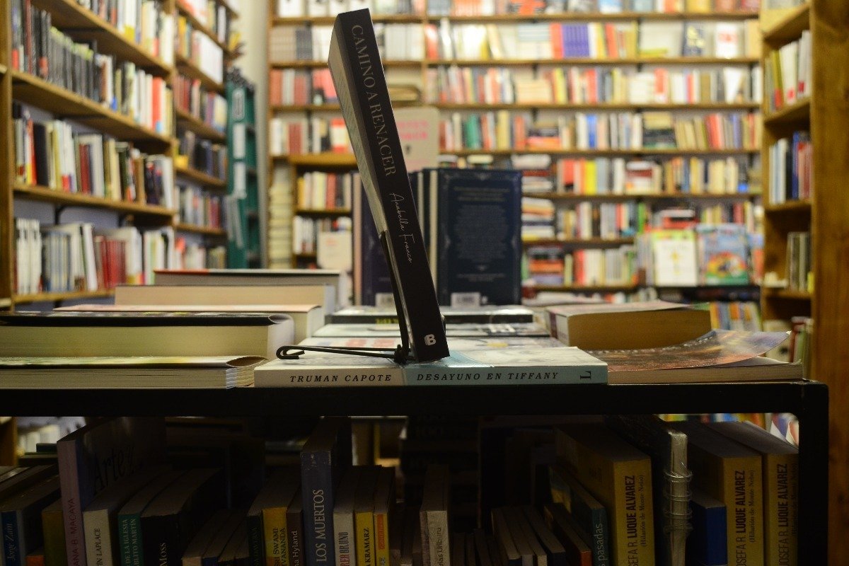 Camino A Renacer. Anabella Franco. - Imagen 2