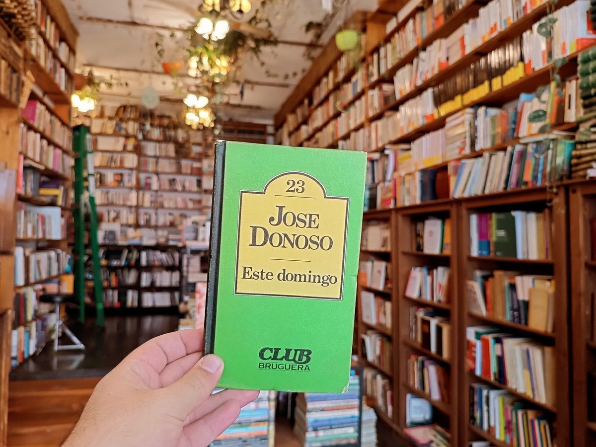 Este Domingo. José Donoso. - Imagen 2