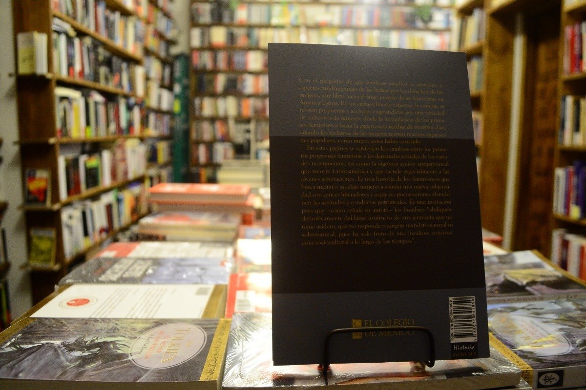 Los Feminismos En América Latina. Dora Barrancos. - Imagen 3