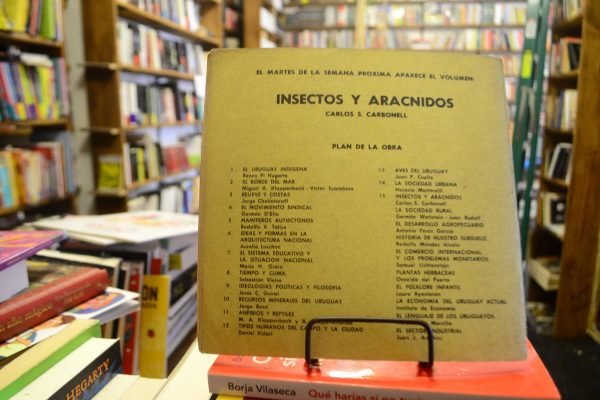 Nuestra Tierra 14. La Sociedad Urbana. Héctor Martorelli. - Imagen 4