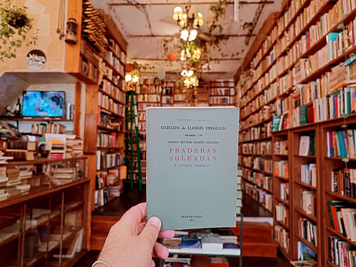 A. H. Lerena Acevedo. Praderas Soleadas Y Otros Poemas. - Imagen 2
