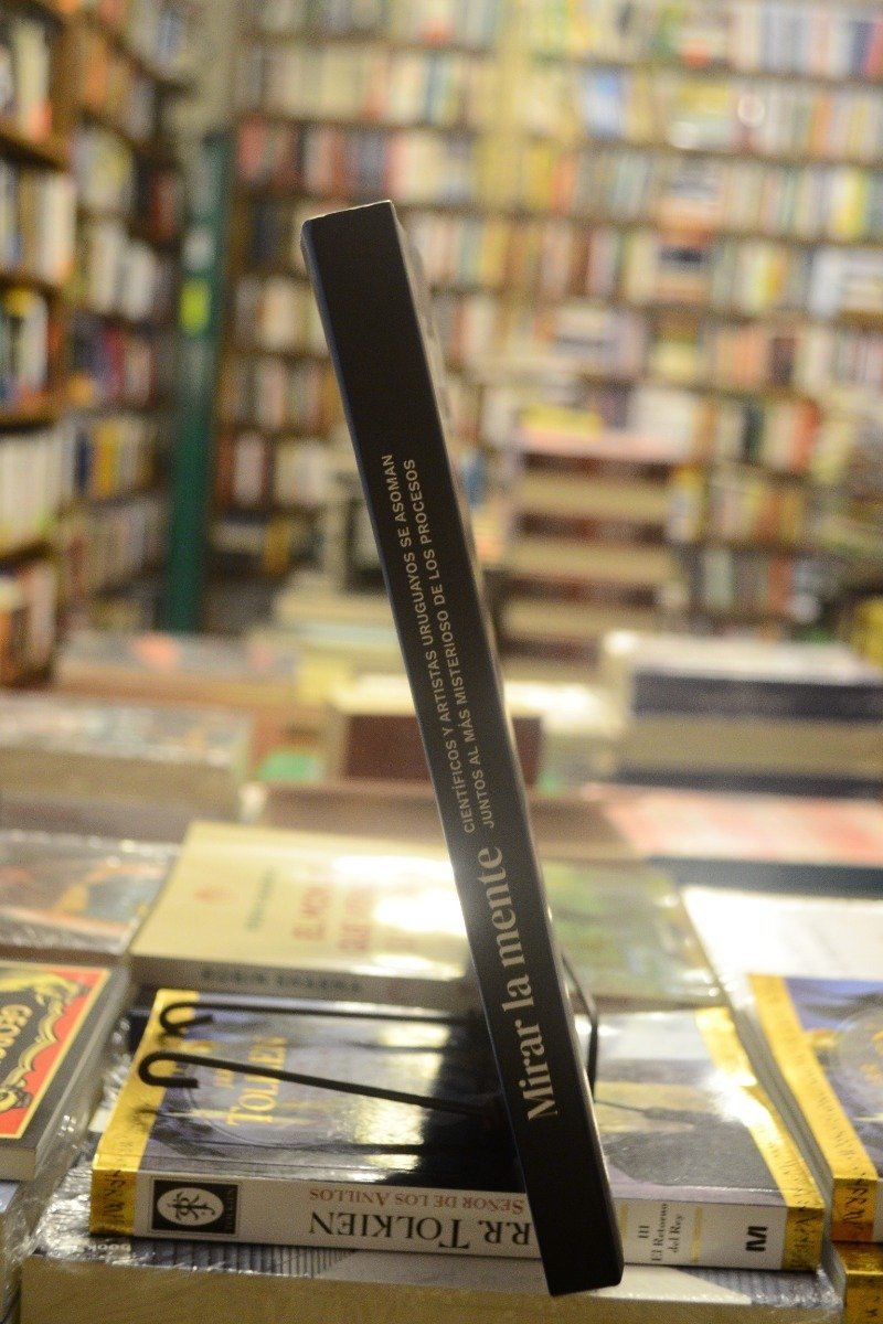 Mirar La Mente. Ana Silva - Paula Pouso - Pablo Casacuberta. - Imagen 2