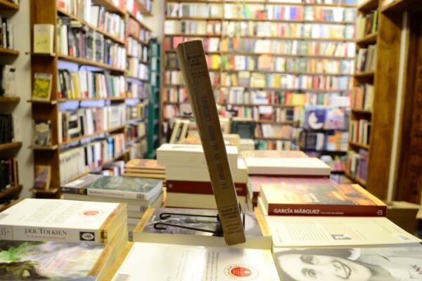 La Imagen En La Poesía Gauchesca. Eneida Sansone De Martínez - Imagen 2