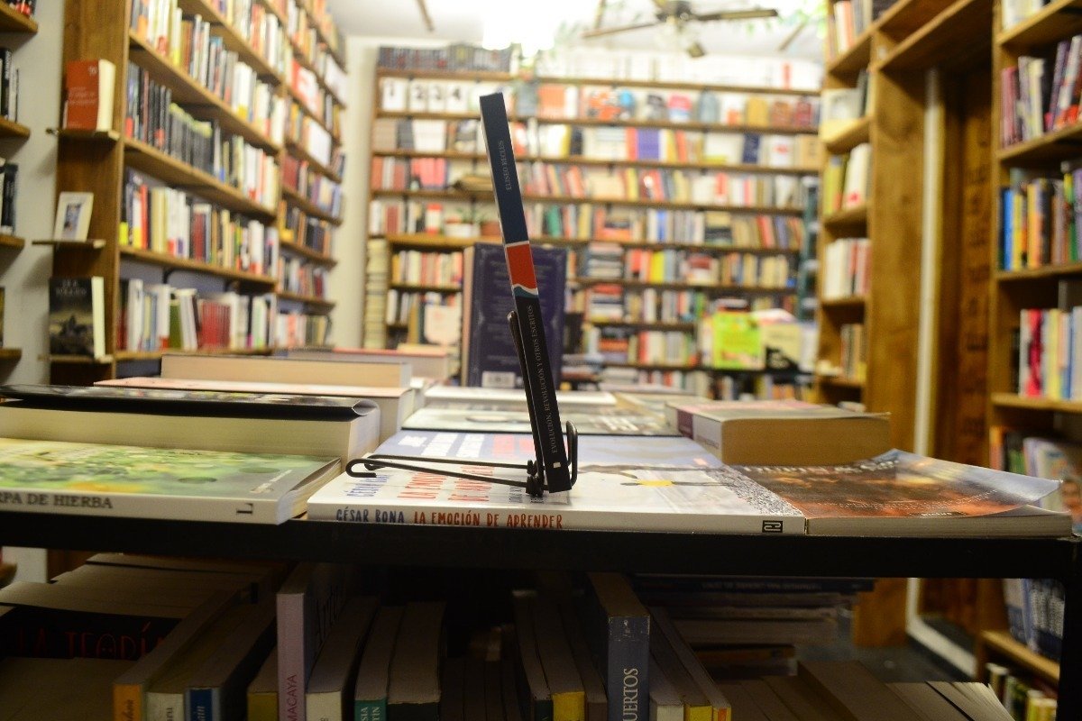 Evolución, Revolución Y Otros Escritos. Eliseo Reclus. - Imagen 2