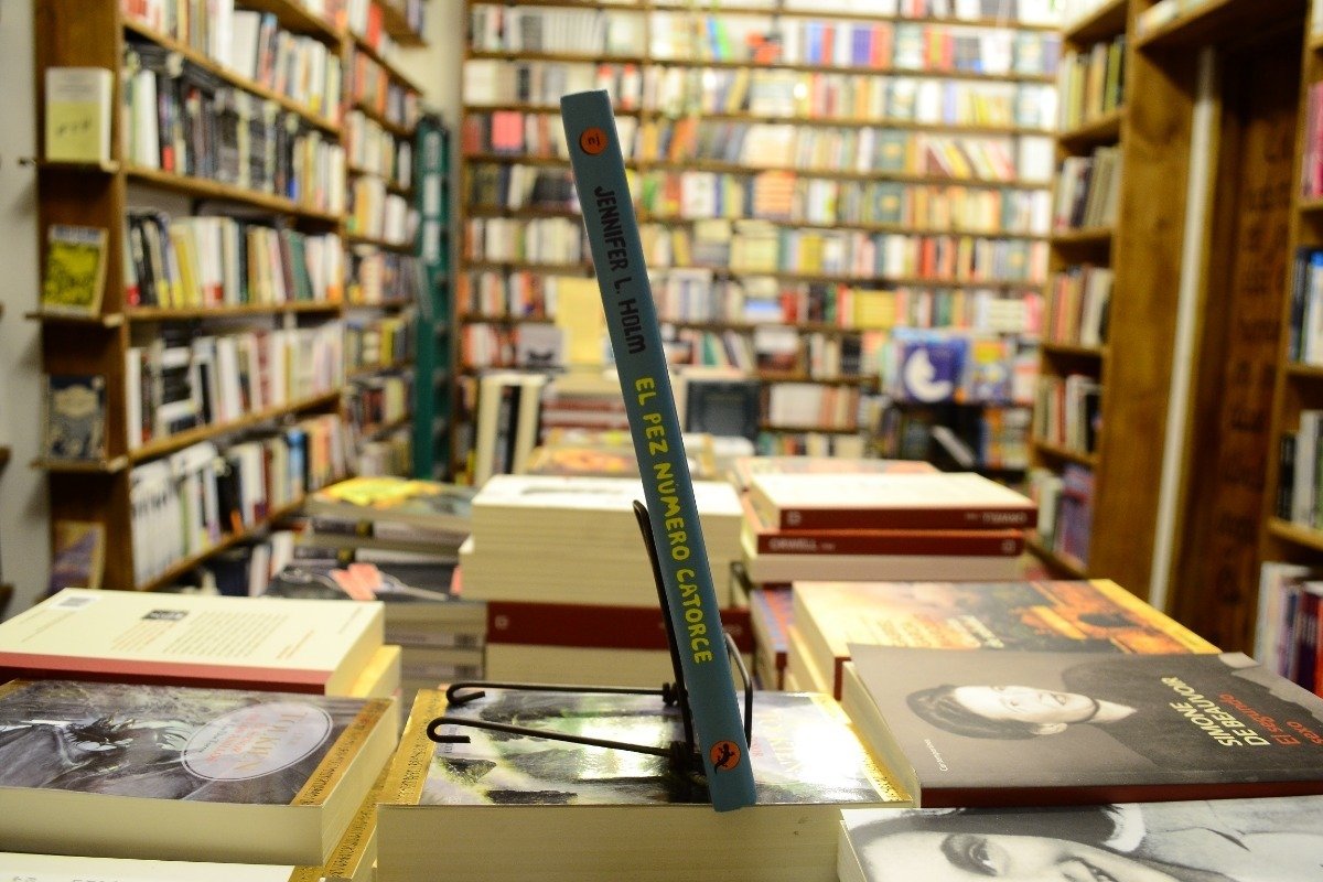 El Pez Número Catorce. Jennifer L. Holm. - Imagen 2