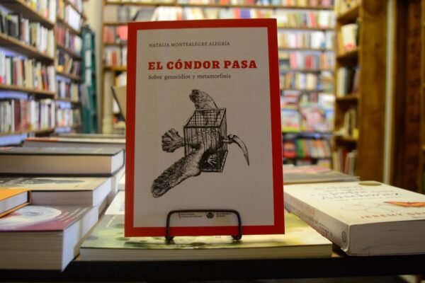 El Cóndor Pasa. Natalia Montealegre Alegría.