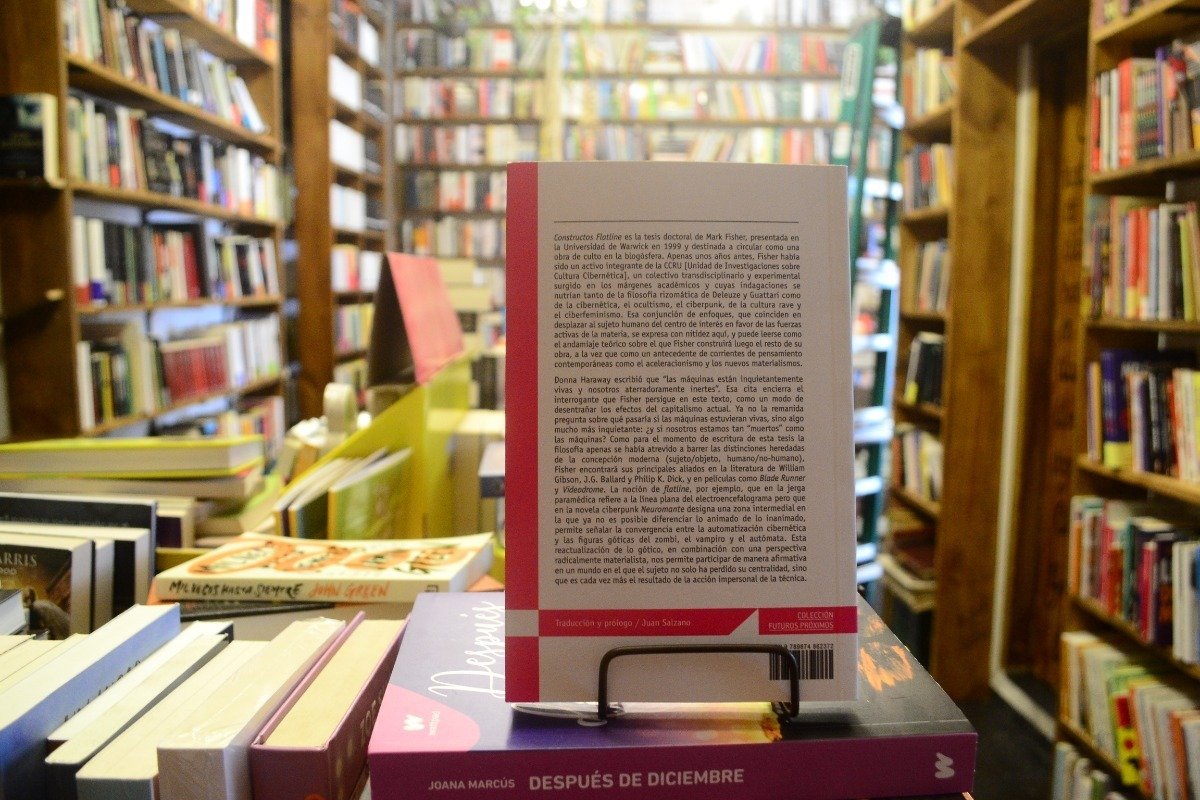 Constructos Flatline. Mark Fisher. - Imagen 3