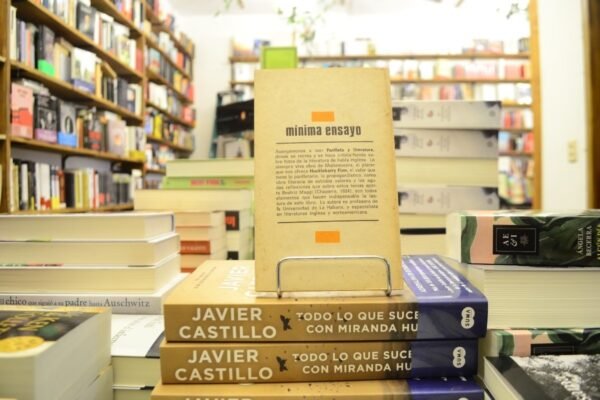 Panfleto Y Literatura. Beatriz Maggi. - Imagen 3