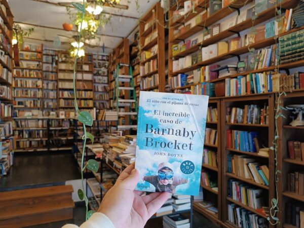 El Increíble Caso De Barnaby Brocket. John Boyne.