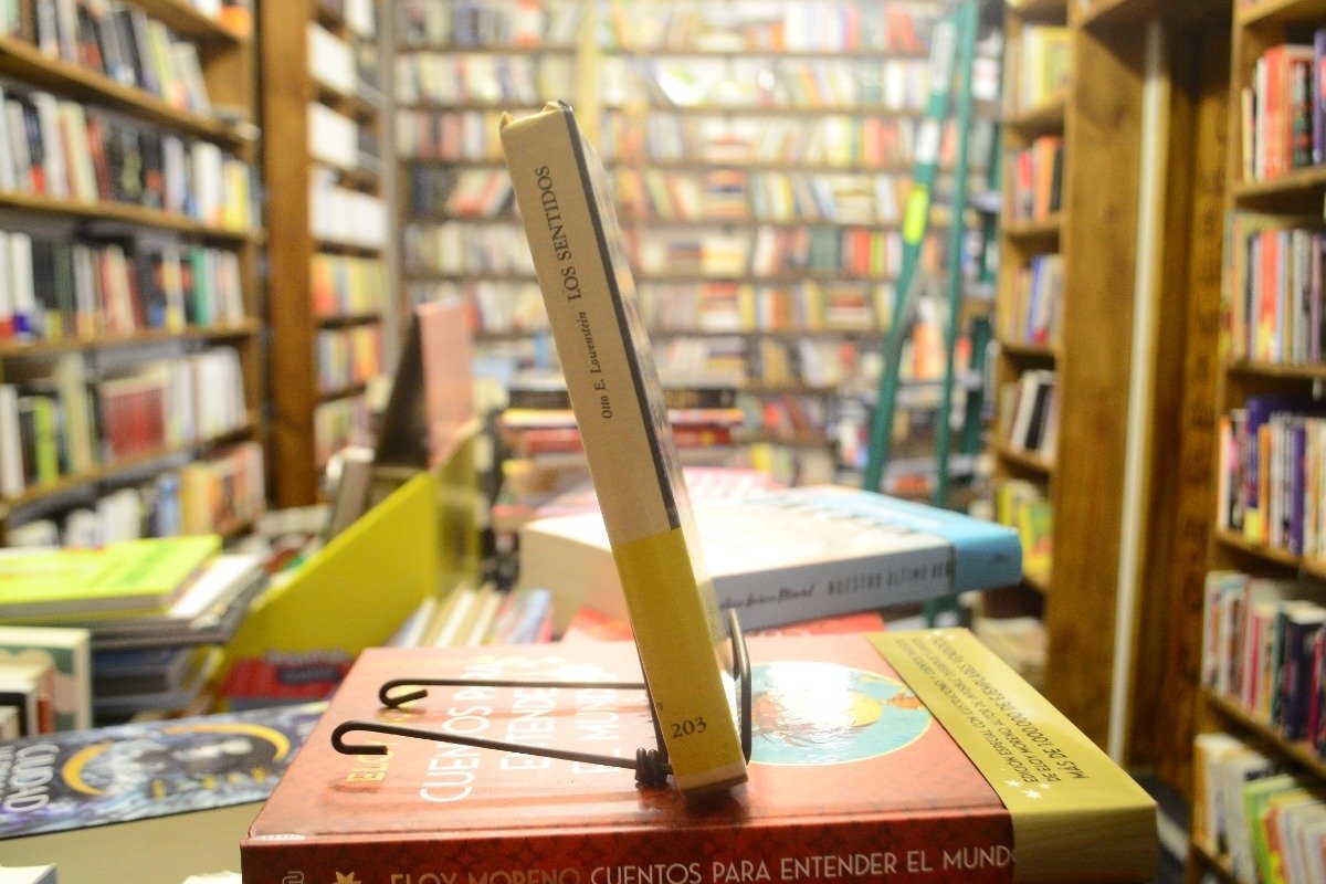 Los Sentidos. Otto E. Lowenstein. - Imagen 2