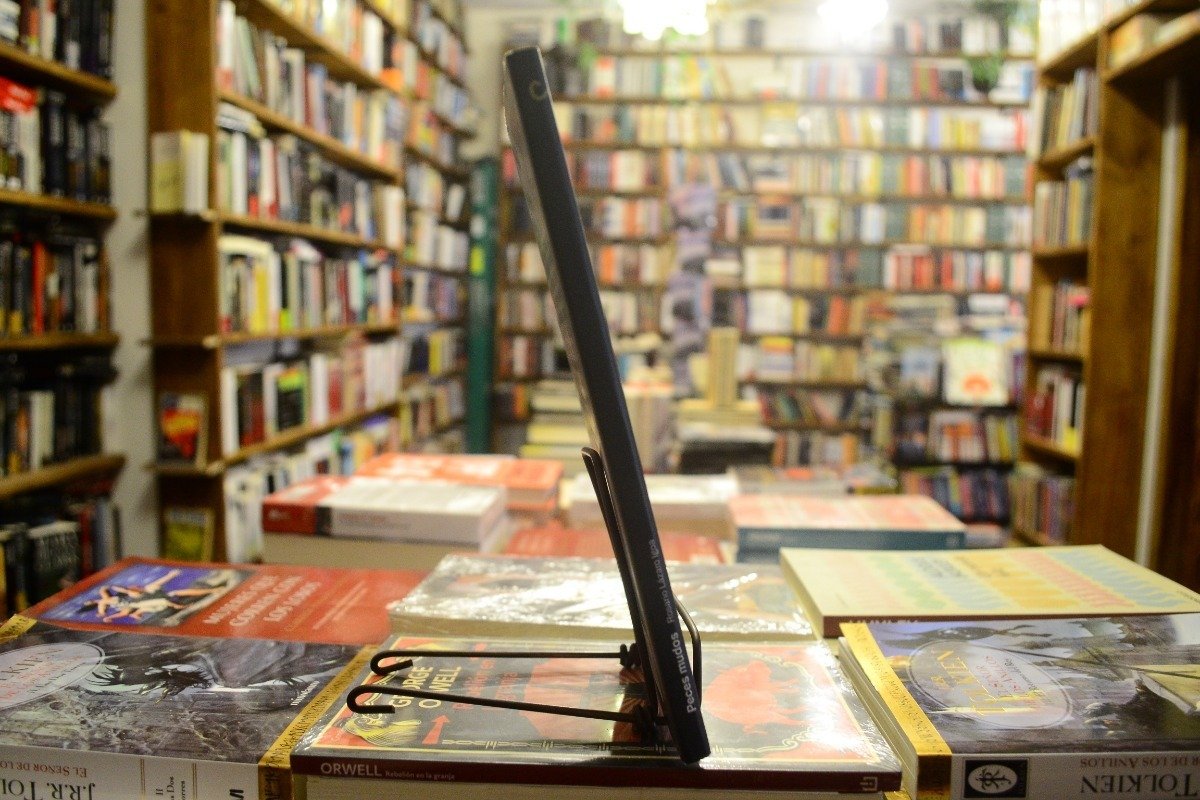 Peces Mudos. Rosario Lázaro Igoa. - Imagen 2