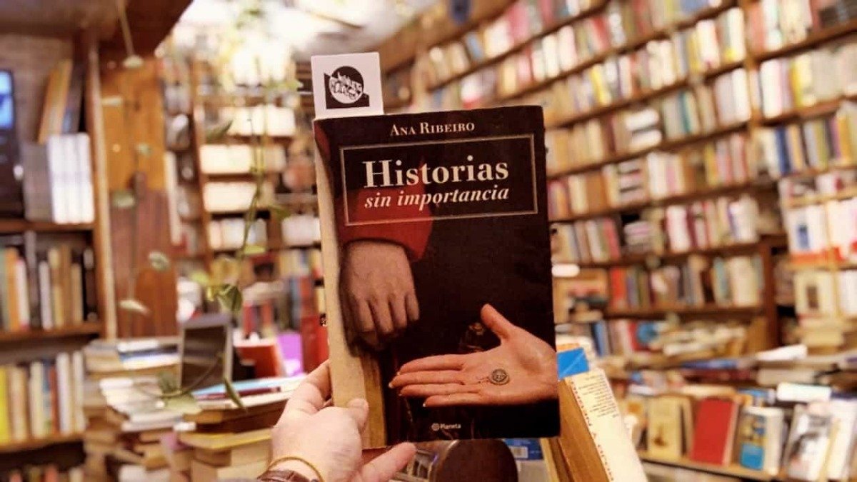 Historias Sin Importancia. Ana Ribeiro. - Imagen 2