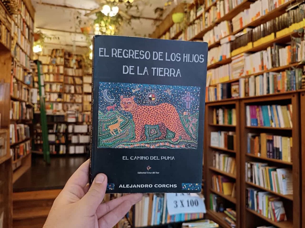 El Regreso De Los Hijos De La Tierra. Alejandro Corchs - Imagen 3
