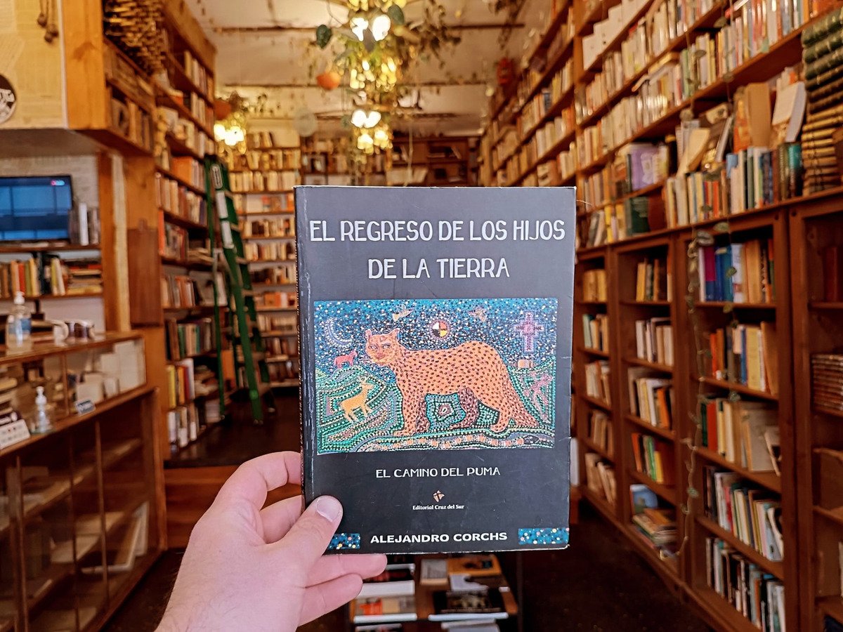 El Regreso De Los Hijos De La Tierra. Alejandro Corchs - Imagen 2