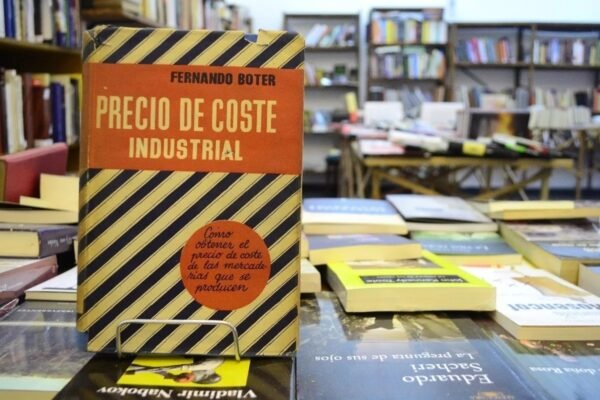 Precio De Coste Industrial. Fernando Boter.