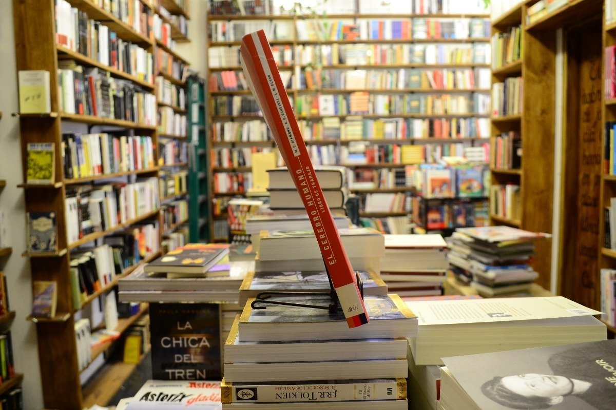 El Cerebro Humano. Libro De Trabajo. Diamond, Scheibel Elson - Imagen 2