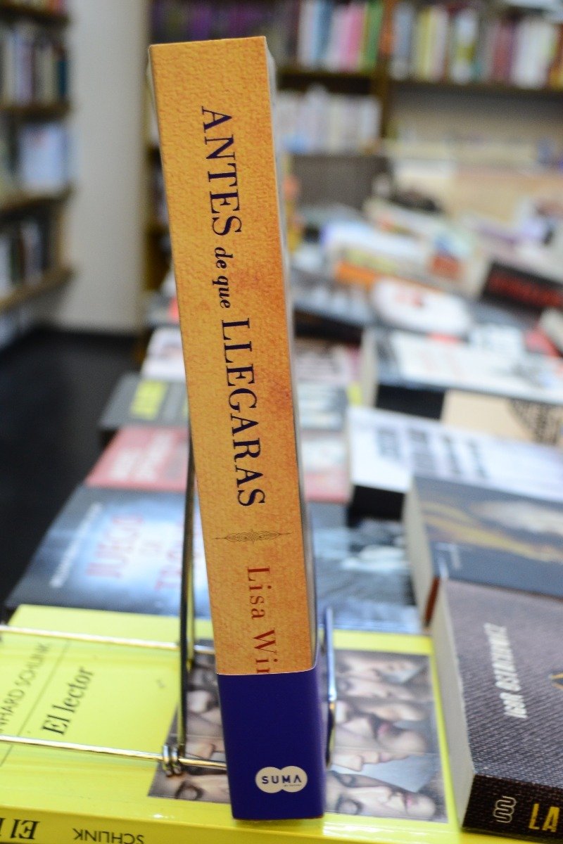 Antes De Que Llegaras. Lisa Wingate. - Imagen 2