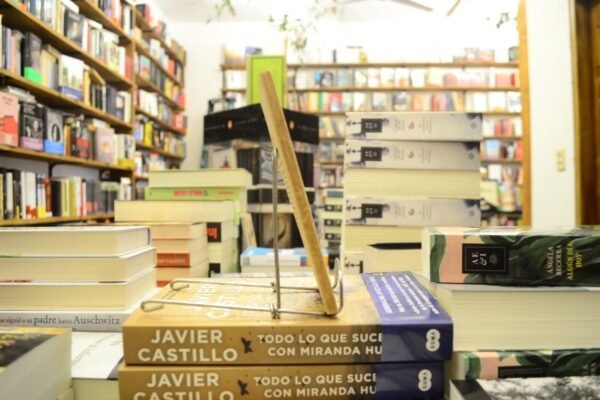 Panfleto Y Literatura. Beatriz Maggi. - Imagen 2