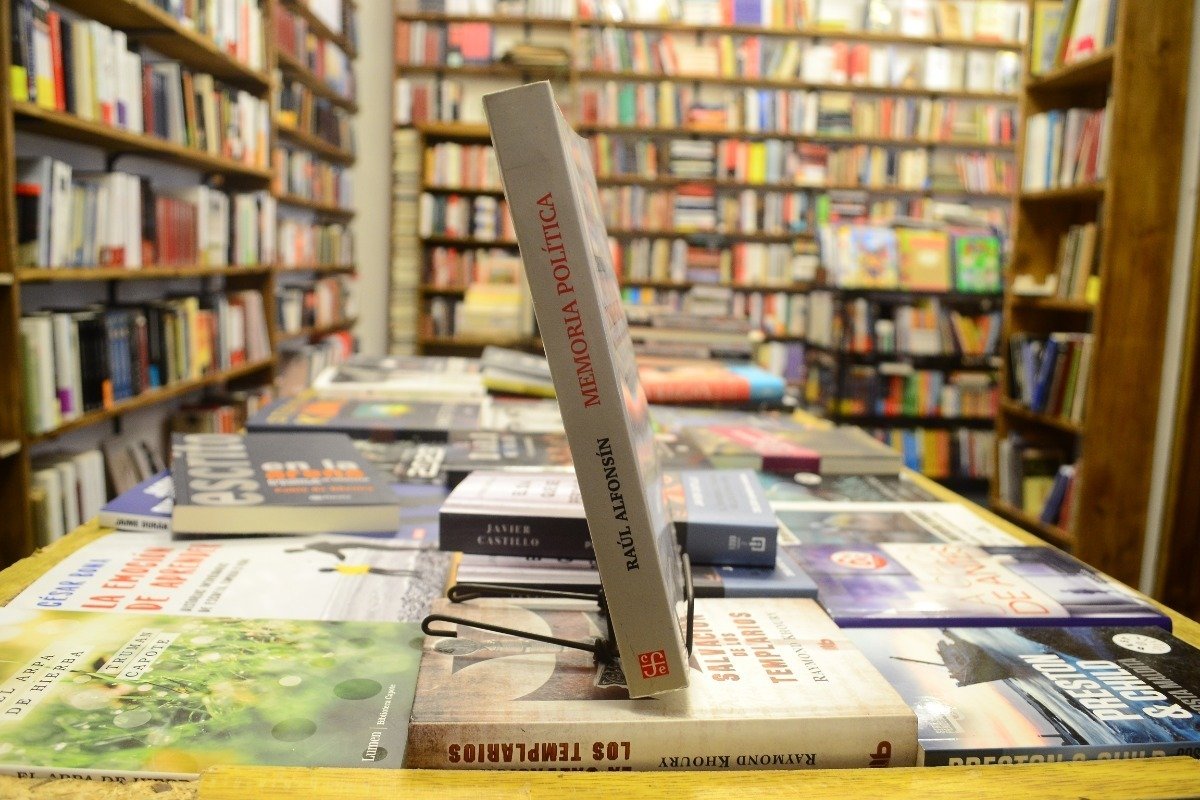 Memoria Política. Raúl Alfonsin. - Imagen 2