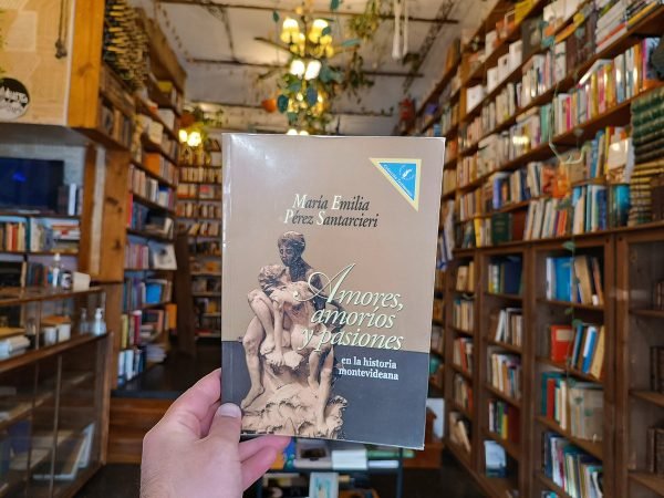 Amores, Amoríos Y Pasiones. María Emilia Pérez Santarcieri.