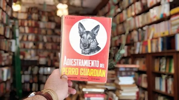 Adiestramiento Del Perro Guardián. M A Segovia.