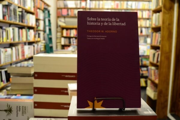 Sobre La Teoría De La Historia Y De La Libertad. T. Adorno.