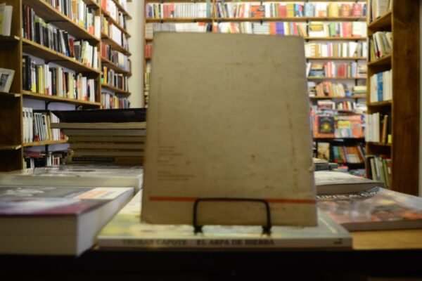 Gabriela Mistral. Manual De Literatura N°48. Jorge Albistur. - Imagen de 2