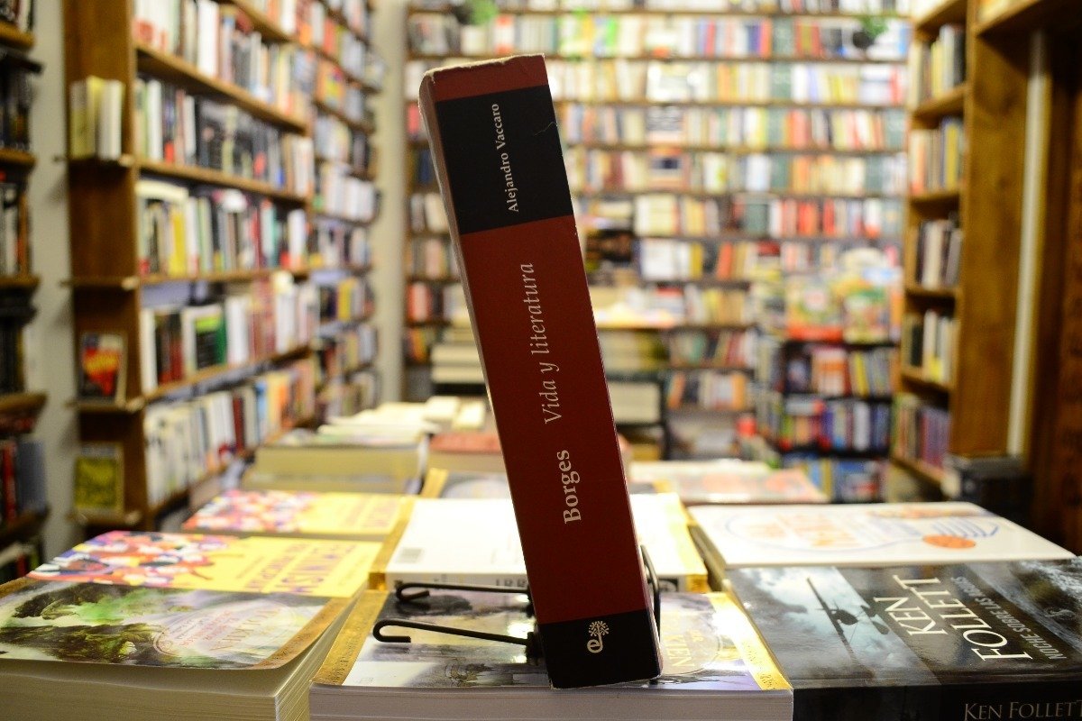 Borges. Vida Y Literatura. Alejandro Vaccaro. - Imagen 2