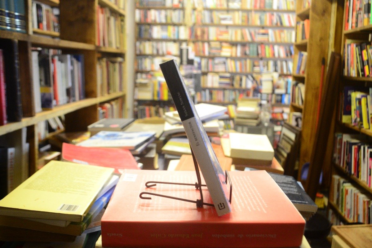 El Benefactor. Susan Sontag. - Imagen 2