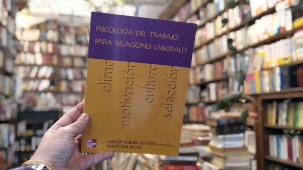 Psicología Del Trabajo Para Relaciones Laborales. C Guillén