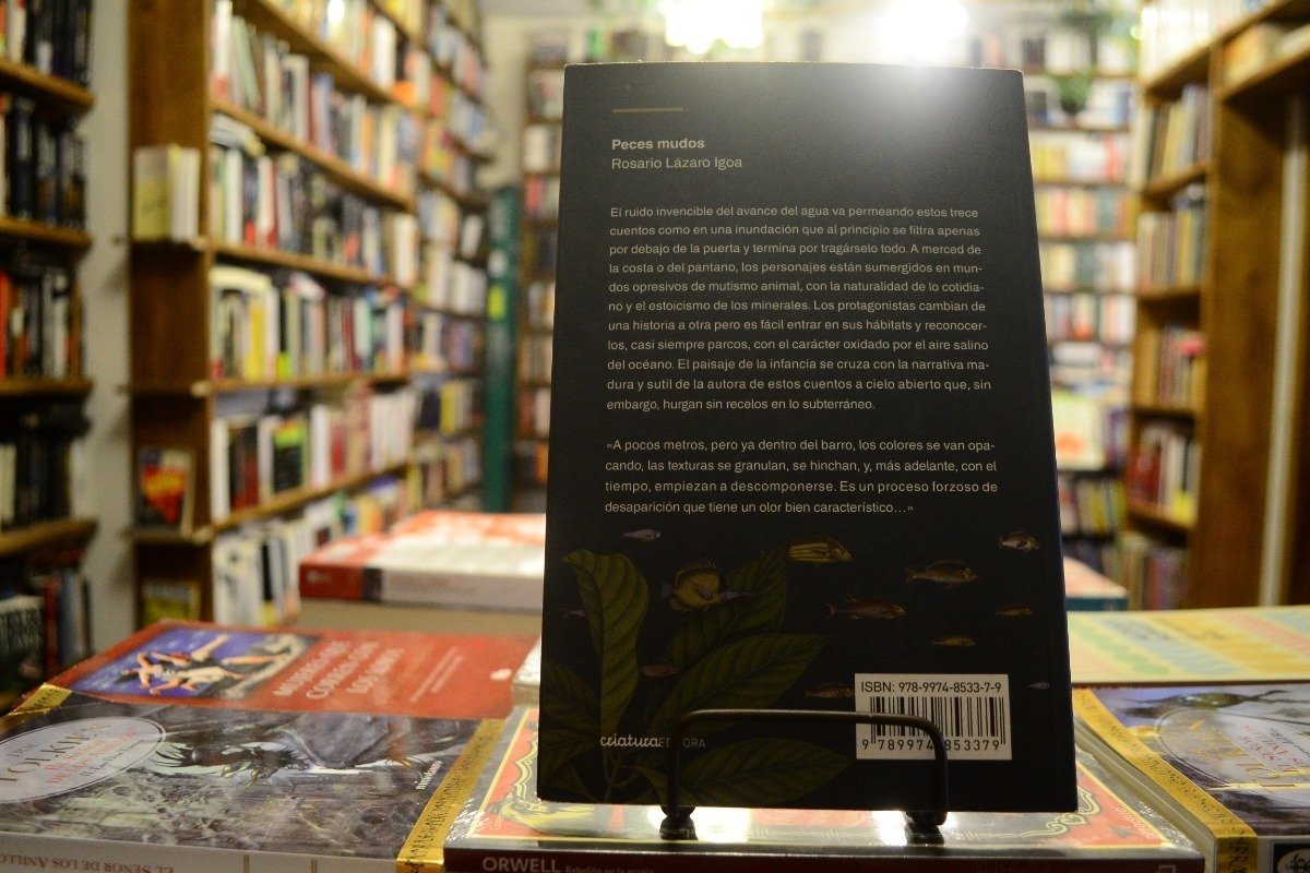 Peces Mudos. Rosario Lázaro Igoa. - Imagen 3