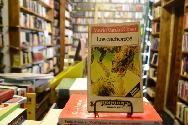 Los Cachorros. Mario Vargas Llosa.