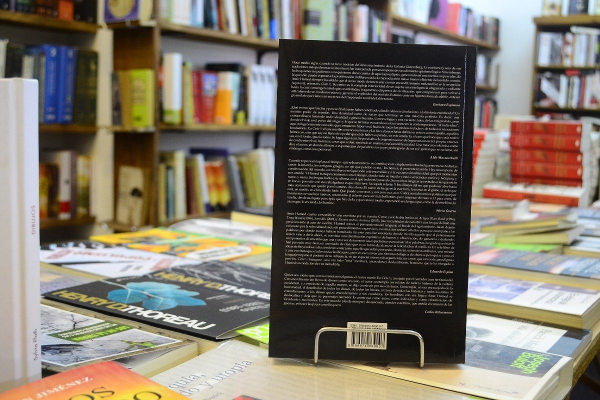 Cielo Medio. Amir Hamed. - Imagen 3