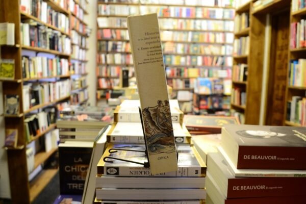 Historia De La Literatura Española. M J Lacarra - J M Cacho - Imagen de 2