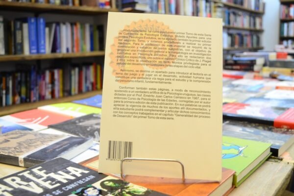 Cuadernos De Psicología Evolutiva 2. David Amorín. - Imagen 3