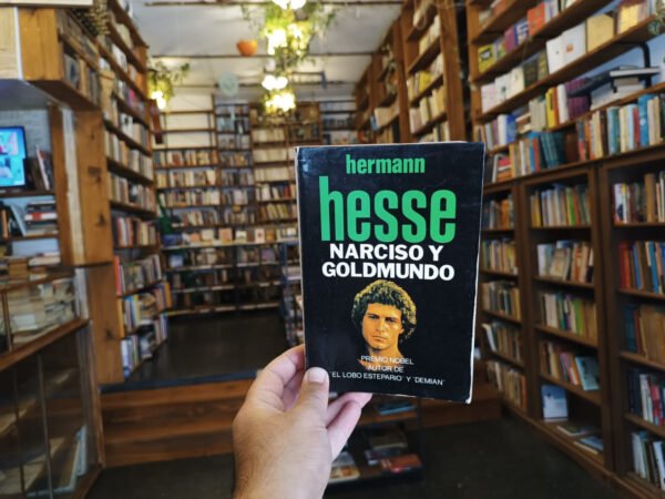 Narciso Y Goldmundo. Hermann Hesse.