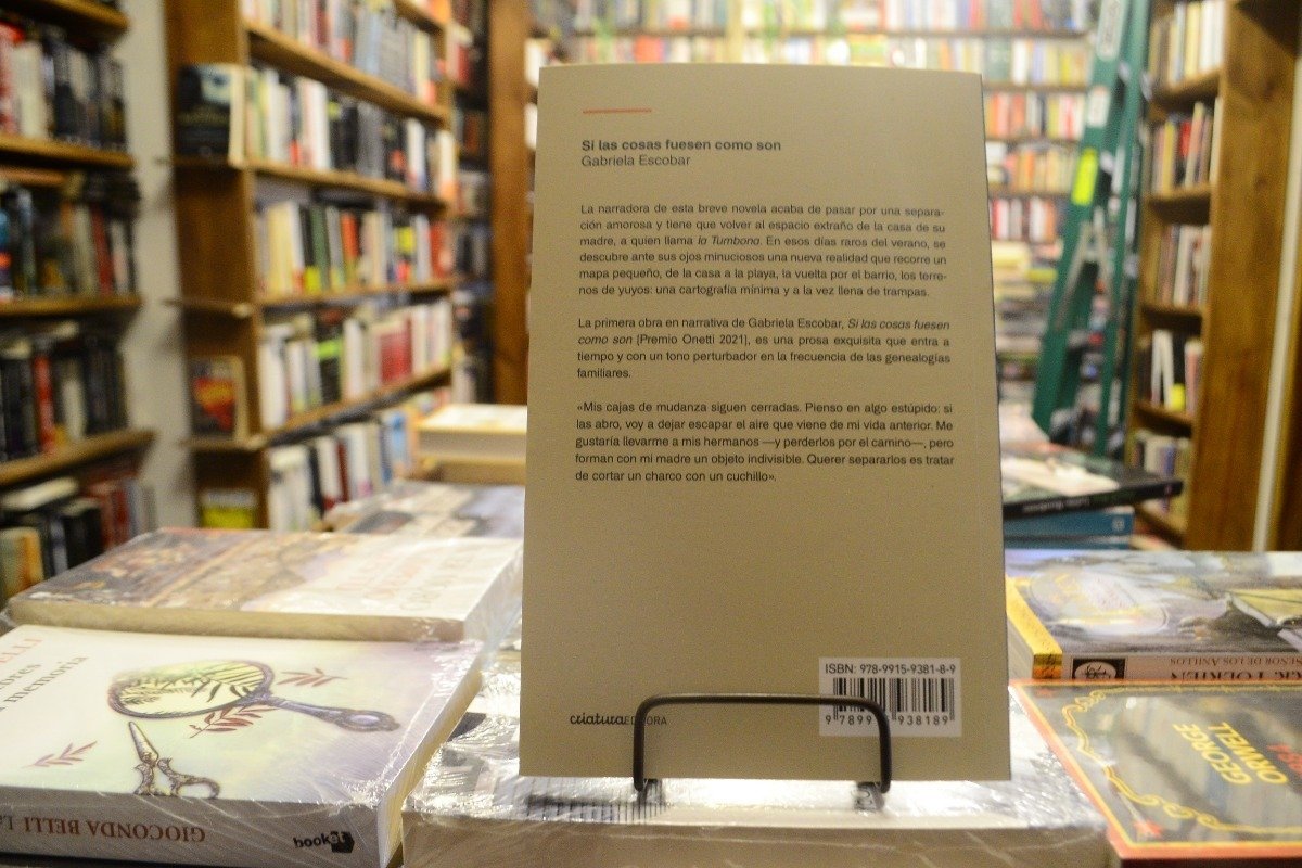 Si Las Cosas Fuesen Como Son. Gabriela Escobar. - Imagen 3