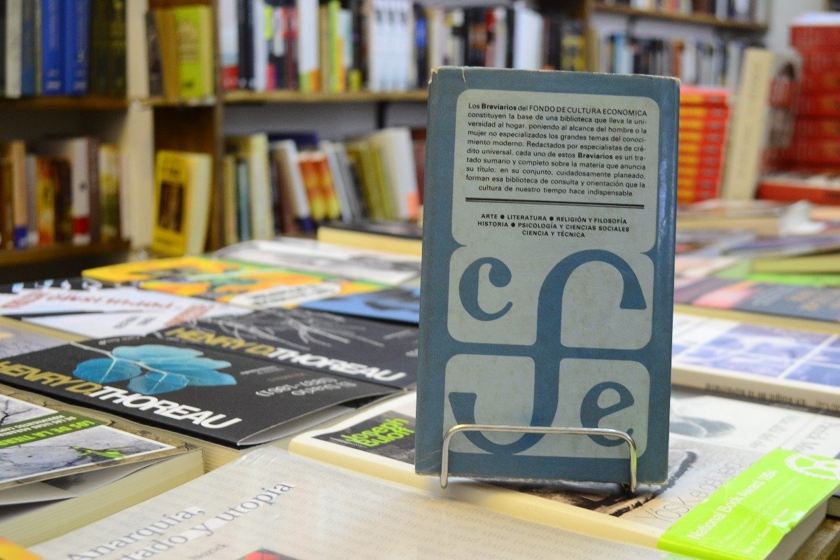 El Lenguaje Del Niño. Paule Aimard. - Imagen 3