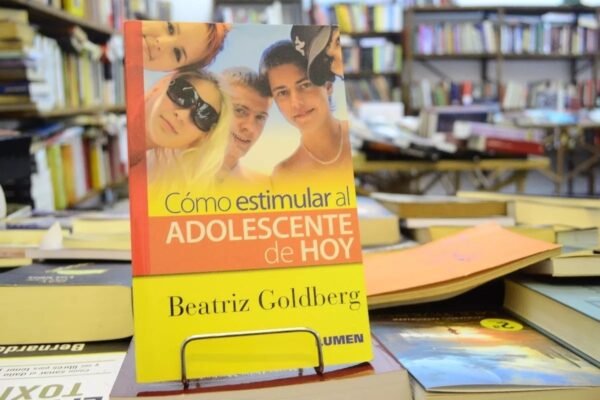 Cómo Estimular Al Adolescente De Hoy. Beatriz Goldberg.