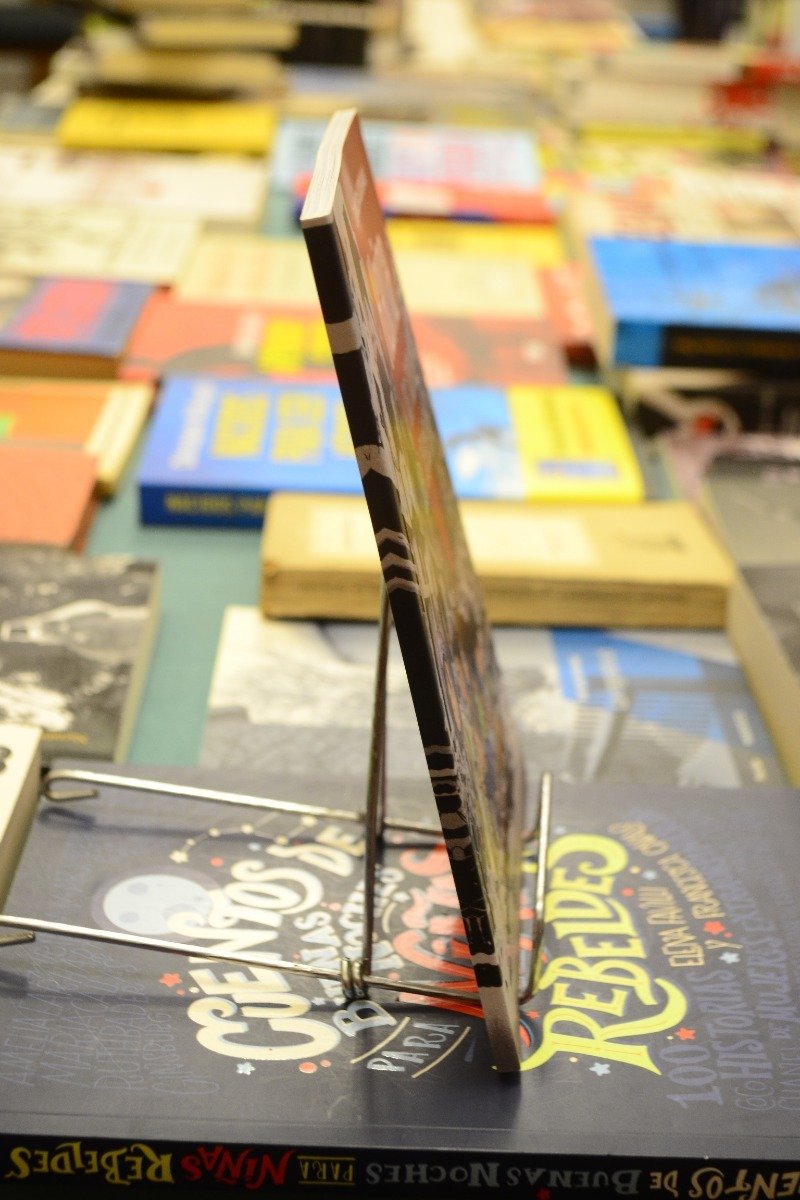 Haina Y Los Lobos Del Desierto. Zunilda Borsani. - Imagen 2