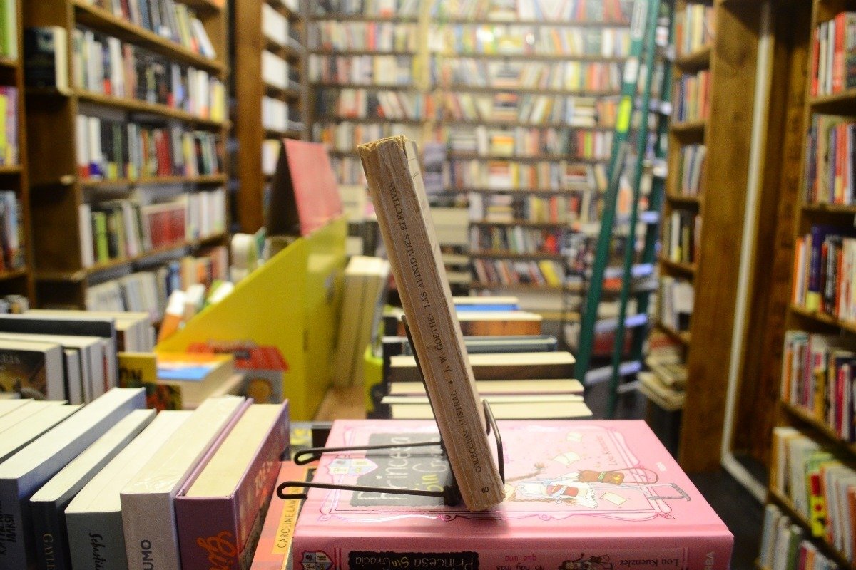 Las Afinidades Electivas. J. W. Goethe. - Imagen 2