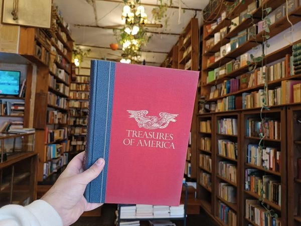 Illustrated Guide To The Trasures Of America.