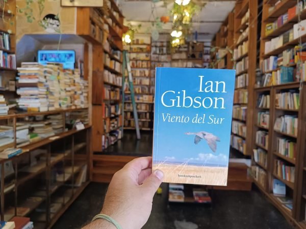 Viento Del Sur. Ian Gibson.