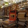 Los Detectives Salvajes. Roberto Bolaño.