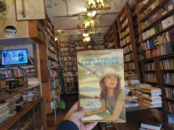 Como Vuelan Las Gaviotas. Zaira Regini Venturini.
