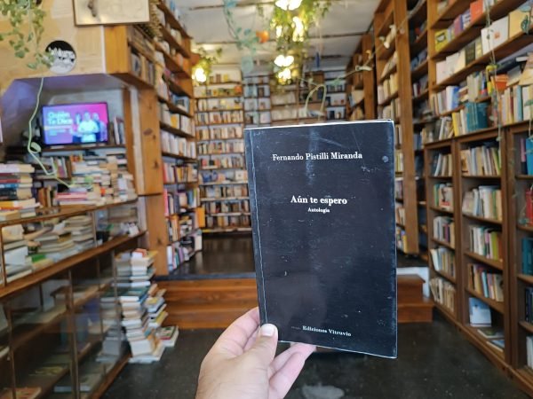 Aún Te Espero. Fernando Pistilli Miranda.