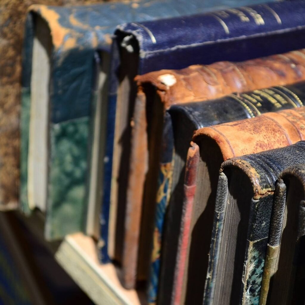 WhatsApp Image 2026-02-03 at 2.26.45 PM